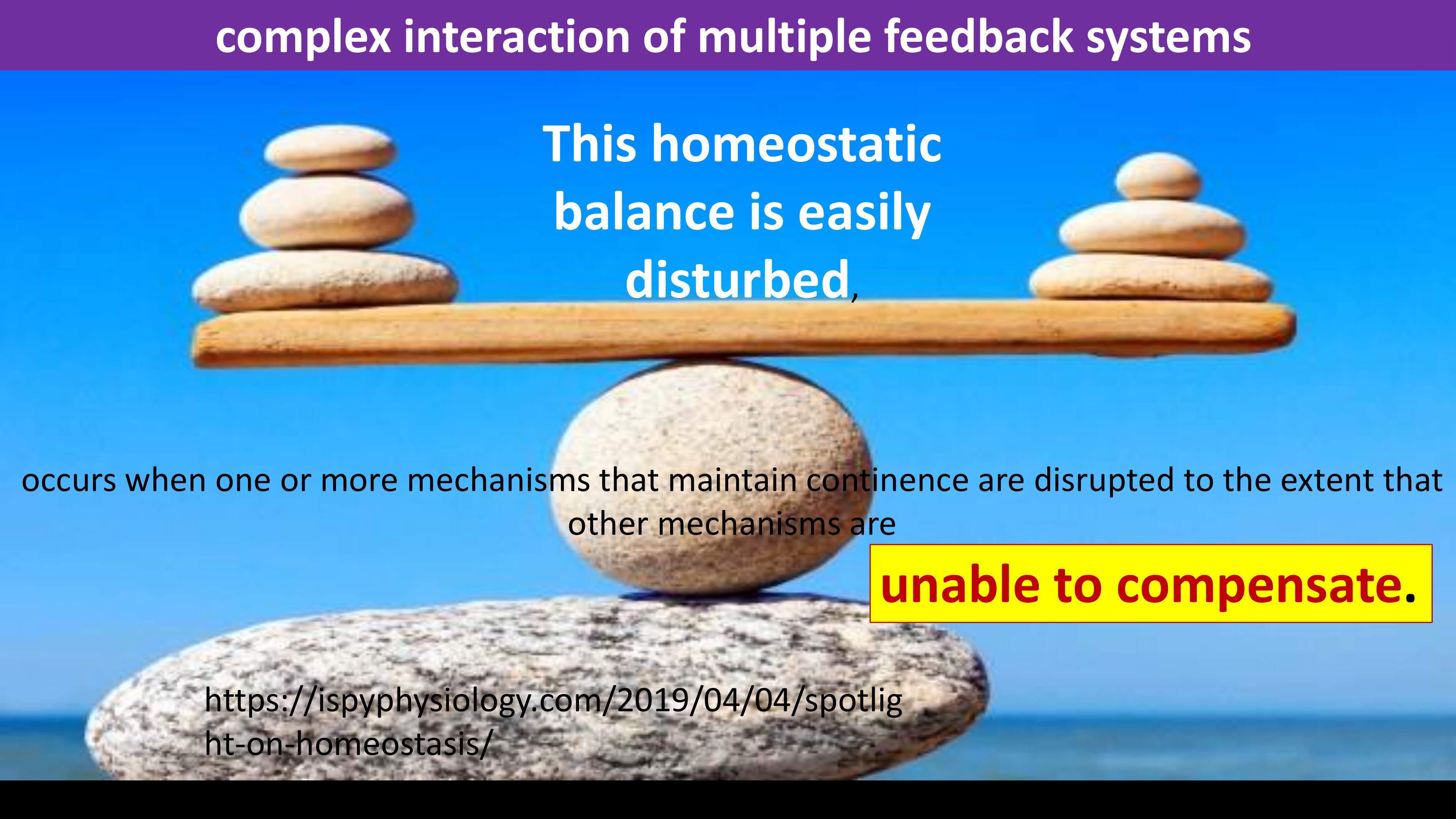 Solution 29